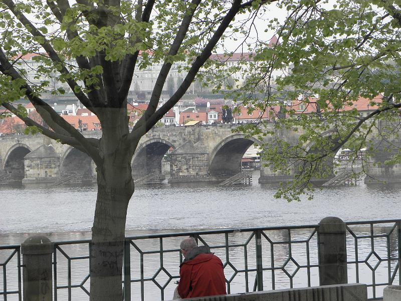 P4240019.JPG