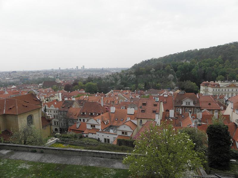 P4240075.JPG
