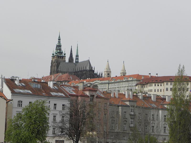 P4250124.JPG