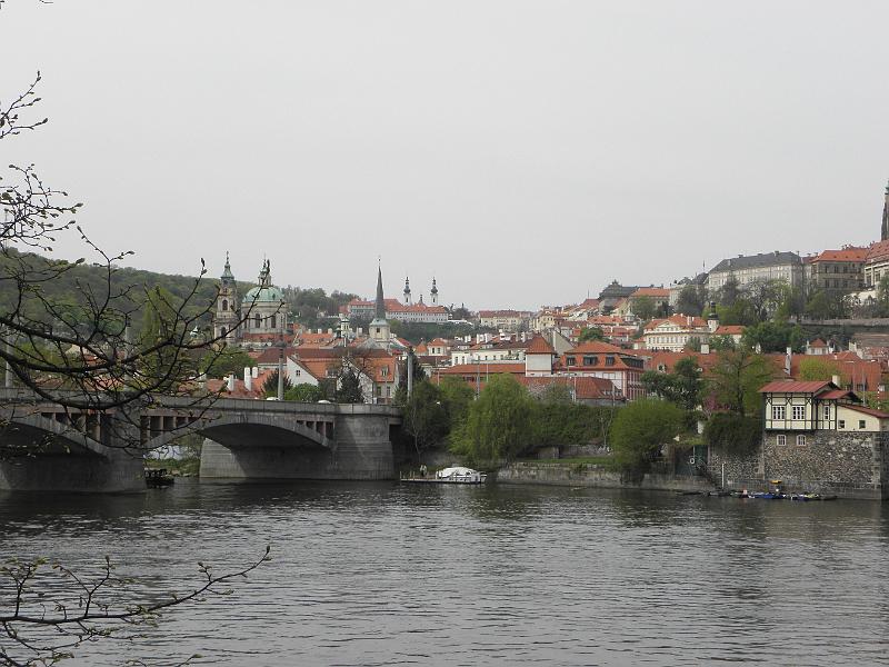 P4250125.JPG