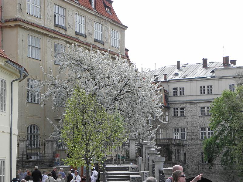 P4250143.JPG