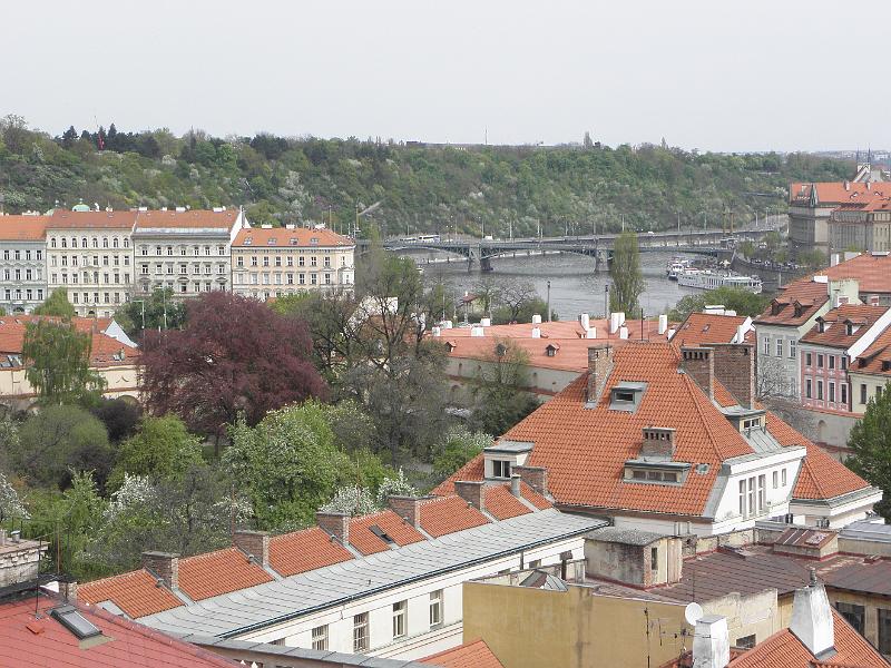 P4250191.JPG