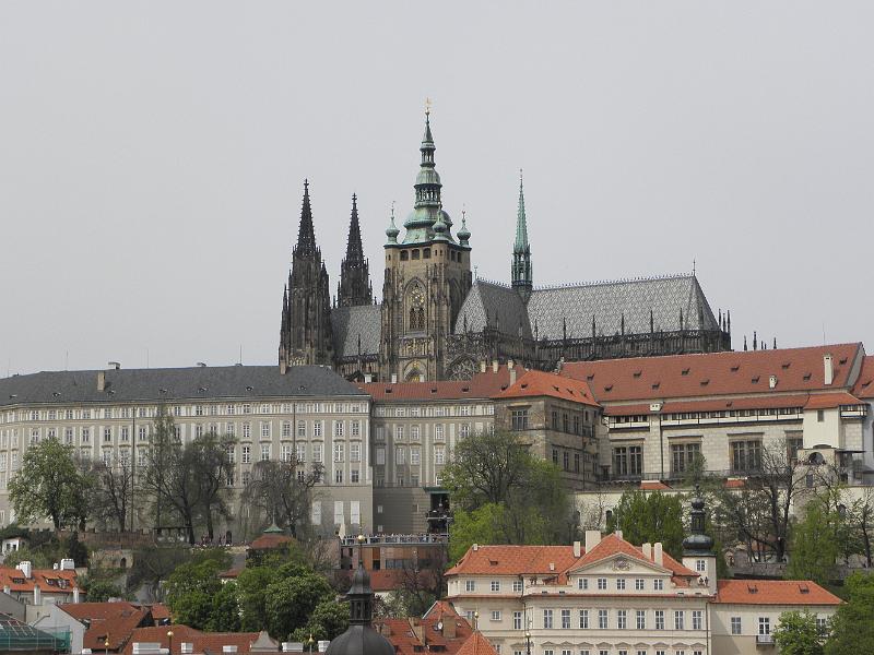P4250199.JPG