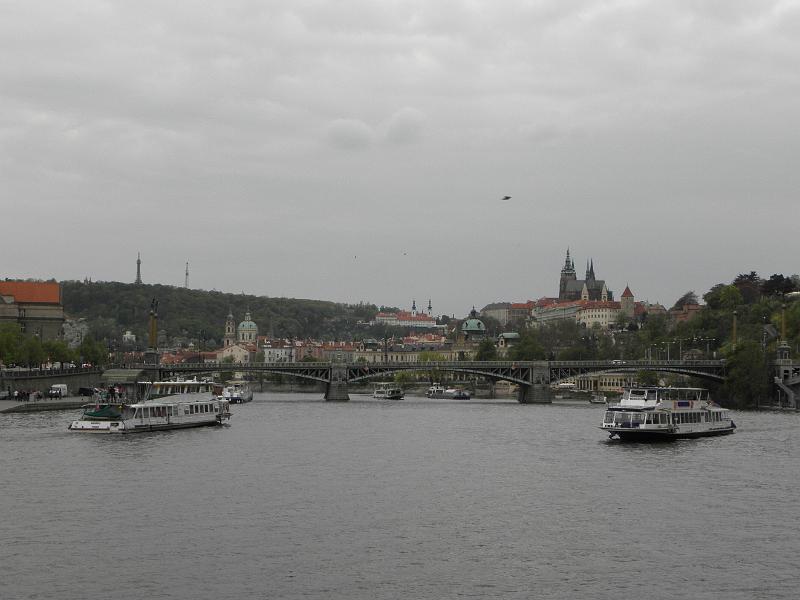 P4250393.JPG