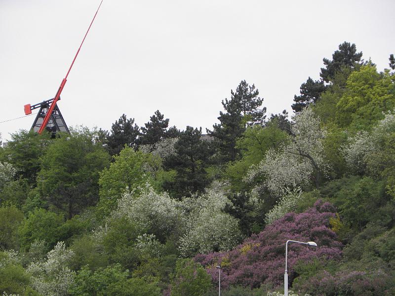 P4250399.JPG