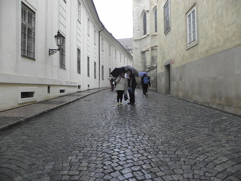 P4280510.JPG