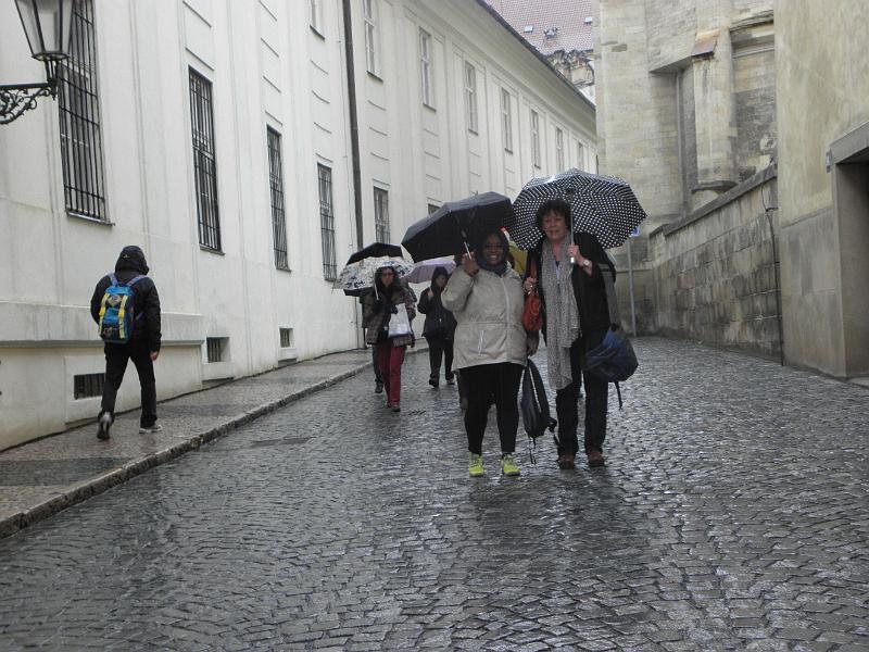 P4280511.JPG