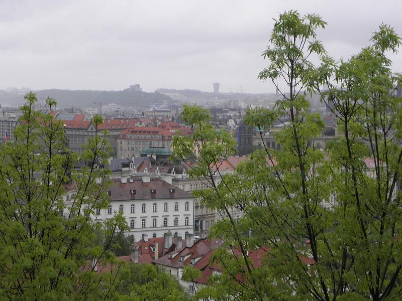 P4280512.JPG