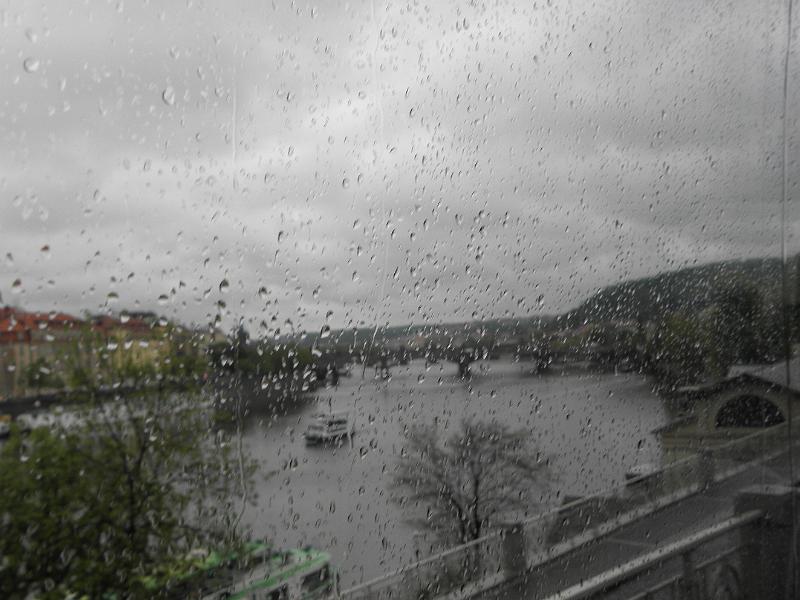 P4280514.JPG