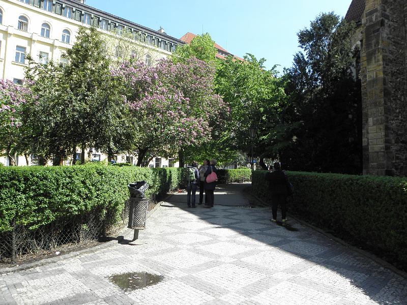 P4290567.JPG