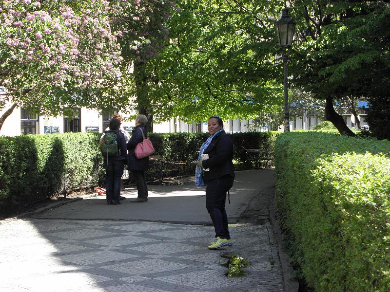 P4290569.JPG
