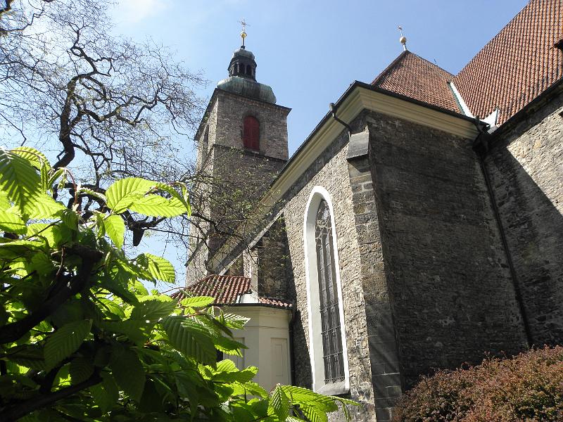 P4290575.JPG