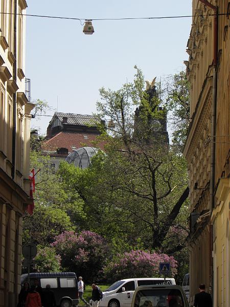 P4290625.JPG