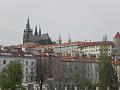 P4250123