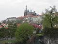 P4250367