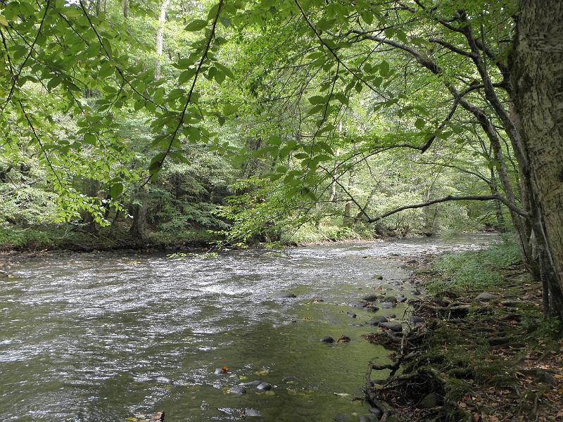 P9100470.JPG