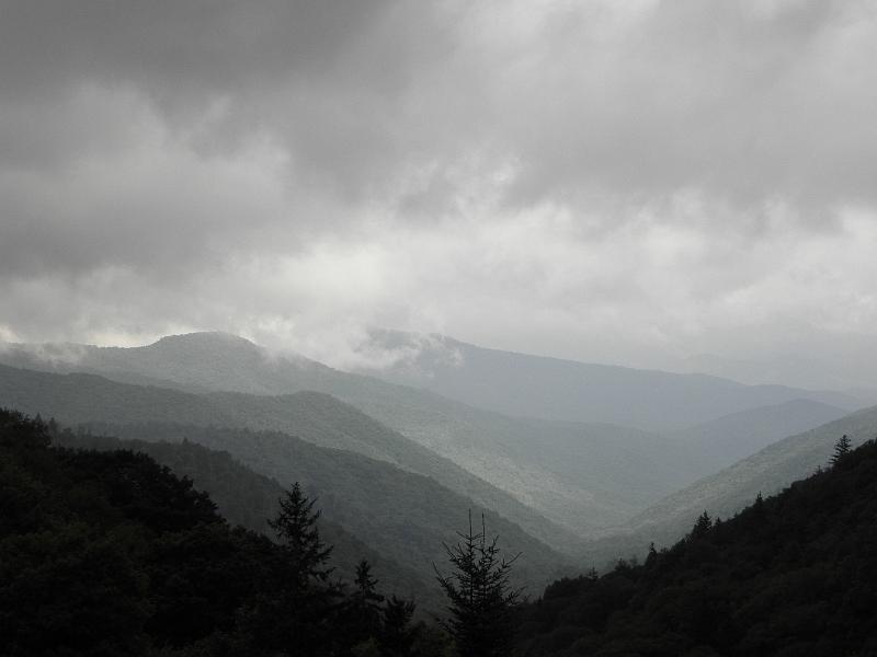 P9100494.JPG