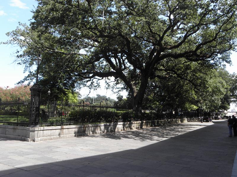 P9160965.JPG