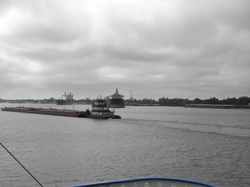 P9171051.JPG
