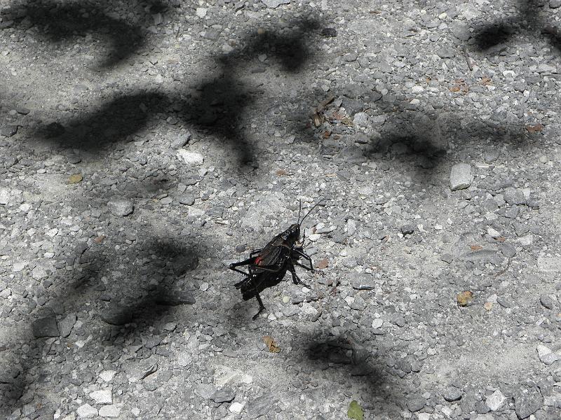 P9181212.JPG
