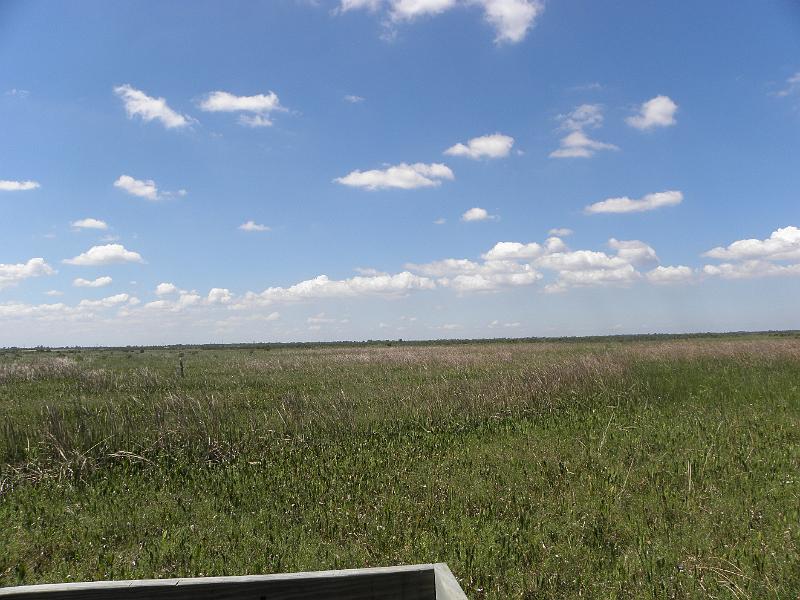P9181229.JPG