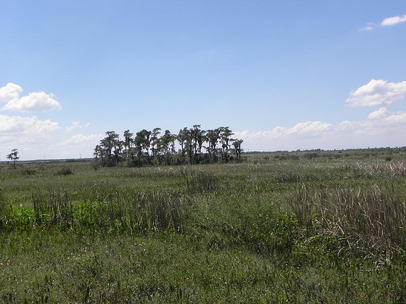 P9181230.JPG