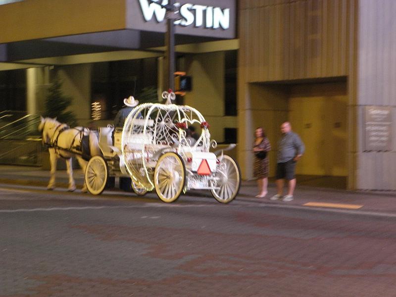 P9221564.JPG