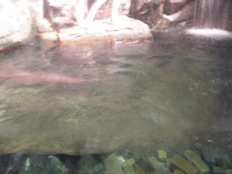 P9221592.JPG