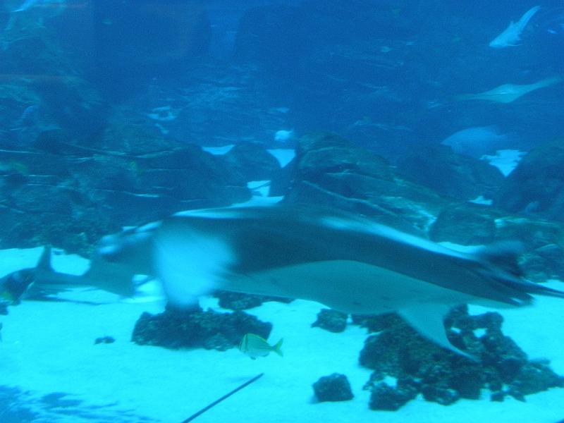 P9221648.JPG