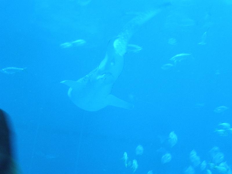 P9221650.JPG