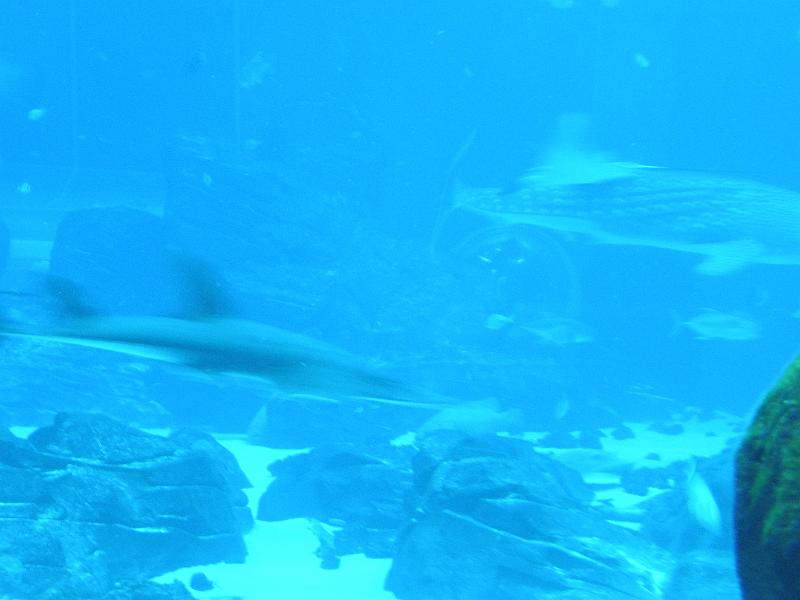 P9221652.JPG