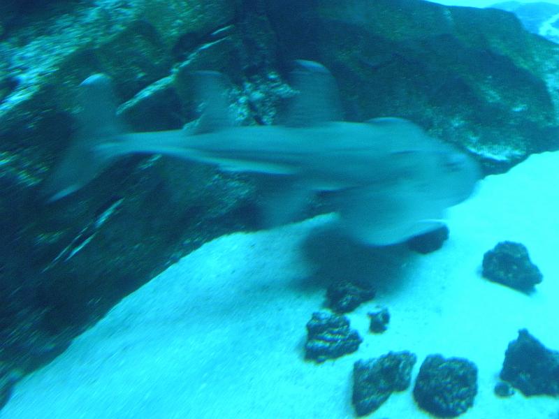 P9221653.JPG