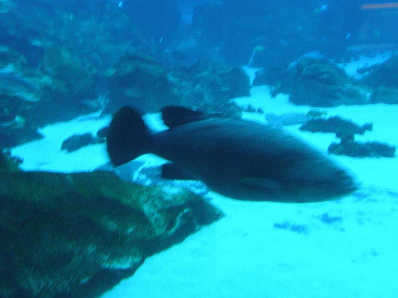 P9221654.JPG
