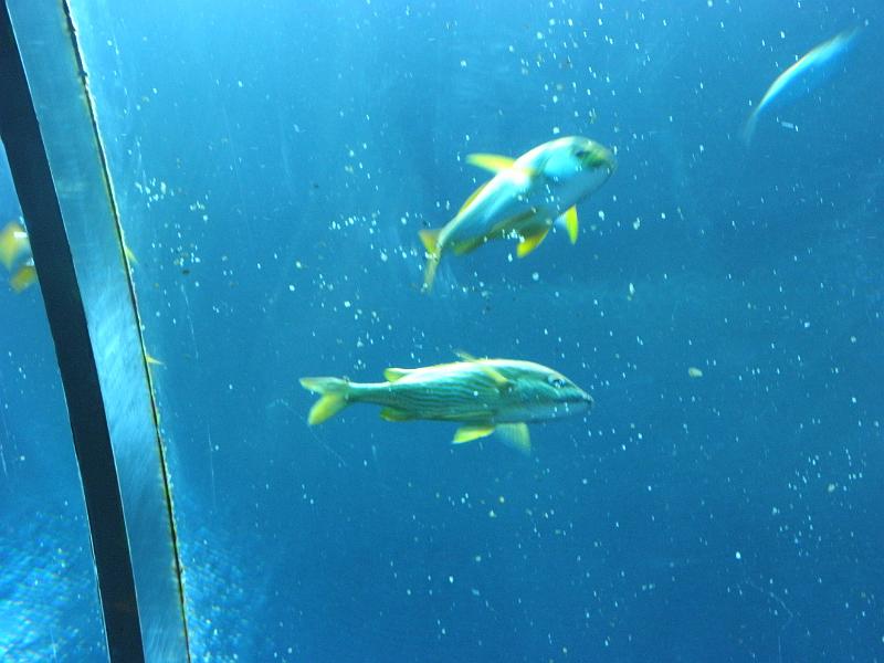 P9221661.JPG