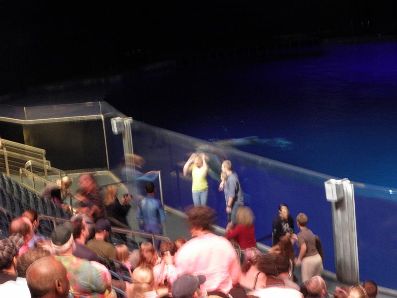 P9221665.JPG