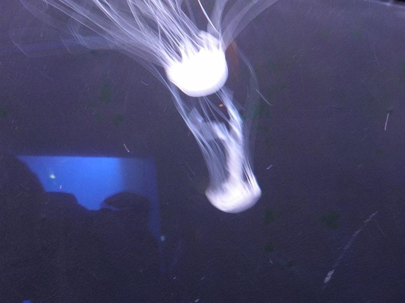 P9221686.JPG