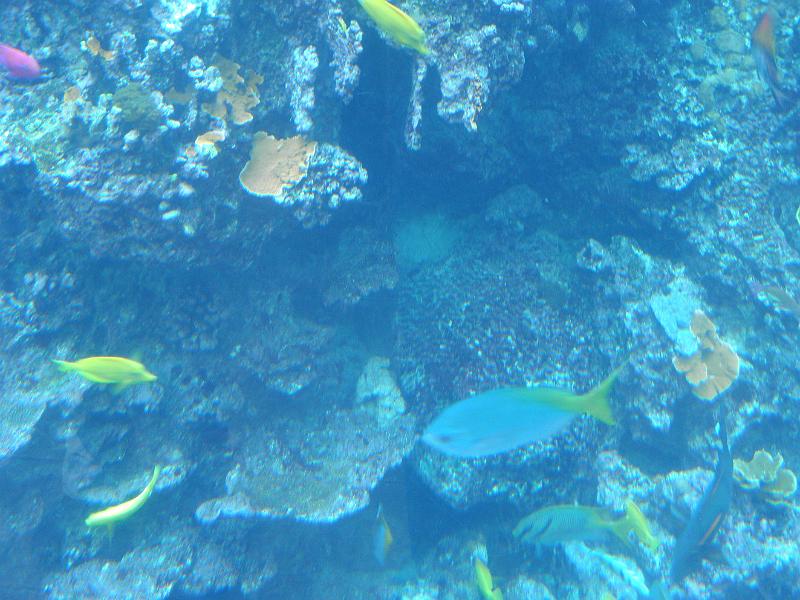 P9221694.JPG