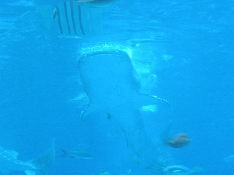 P9221714.JPG
