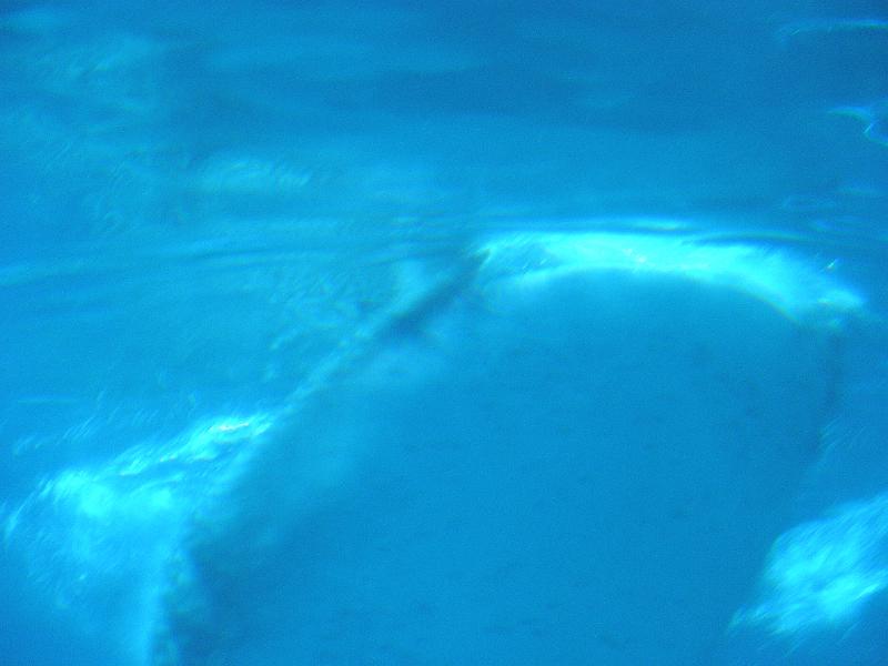 P9221720.JPG