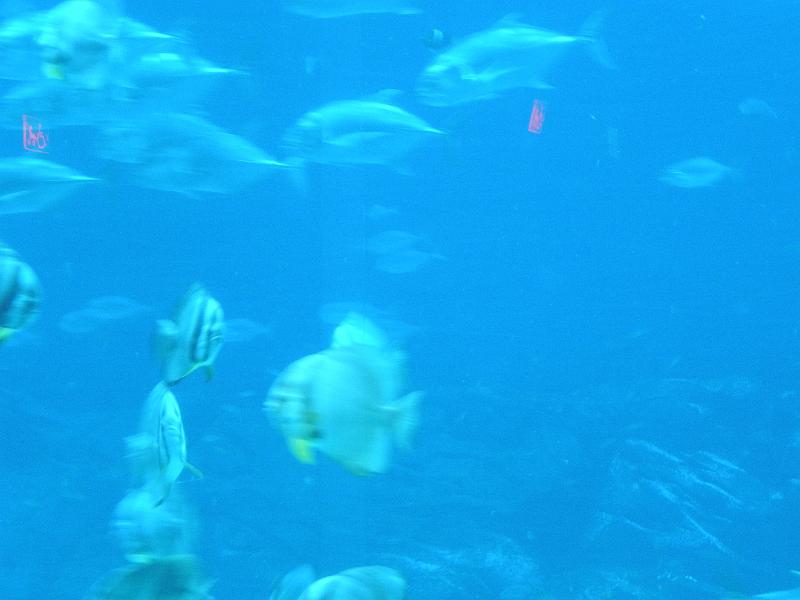 P9221725.JPG