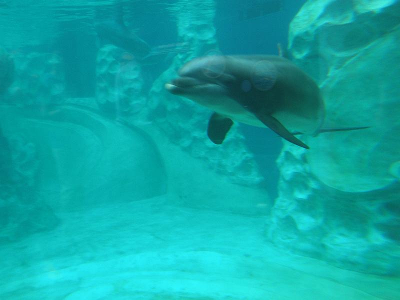P9221731.JPG
