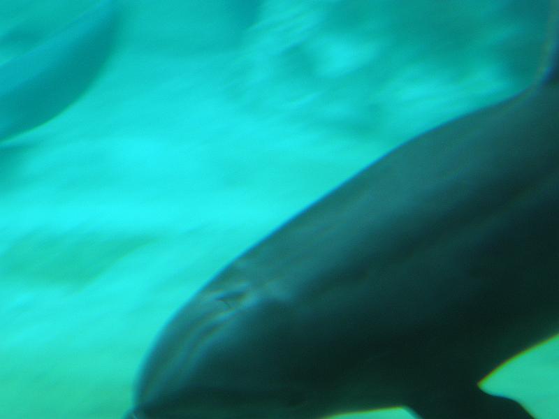 P9221734.JPG
