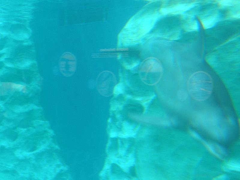 P9221736.JPG