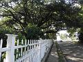 P9150884