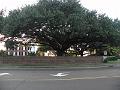 P9160930