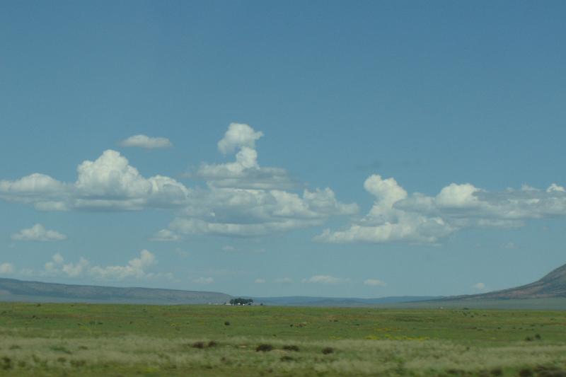 DSC02214.JPG
