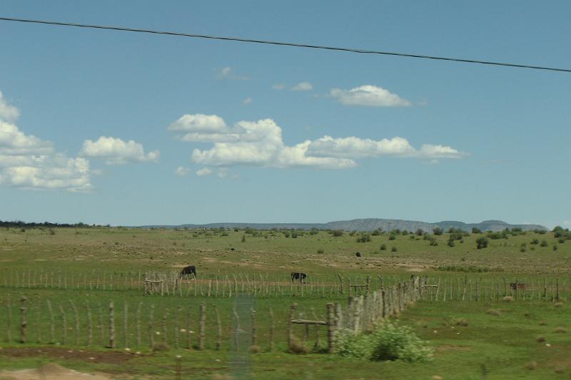 DSC02216.JPG