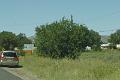 DSC02206