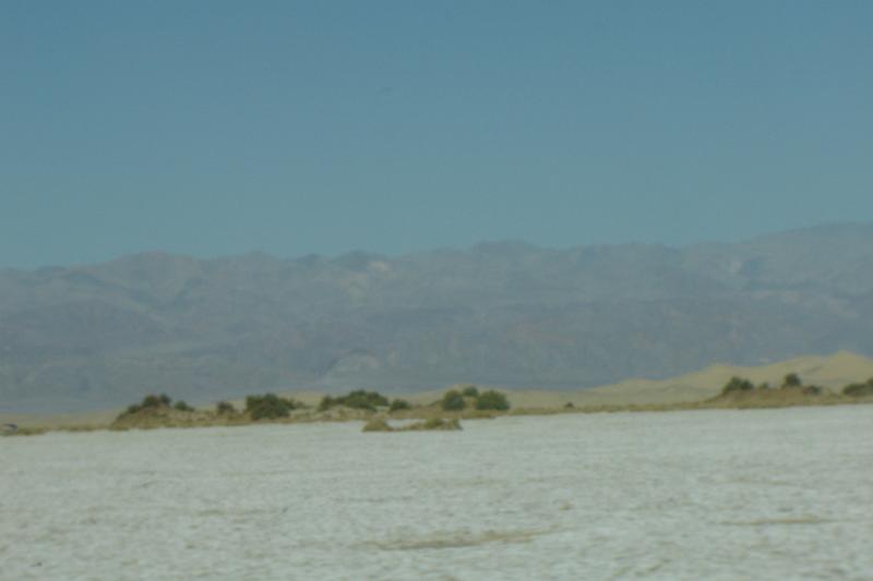 DSC02513.JPG