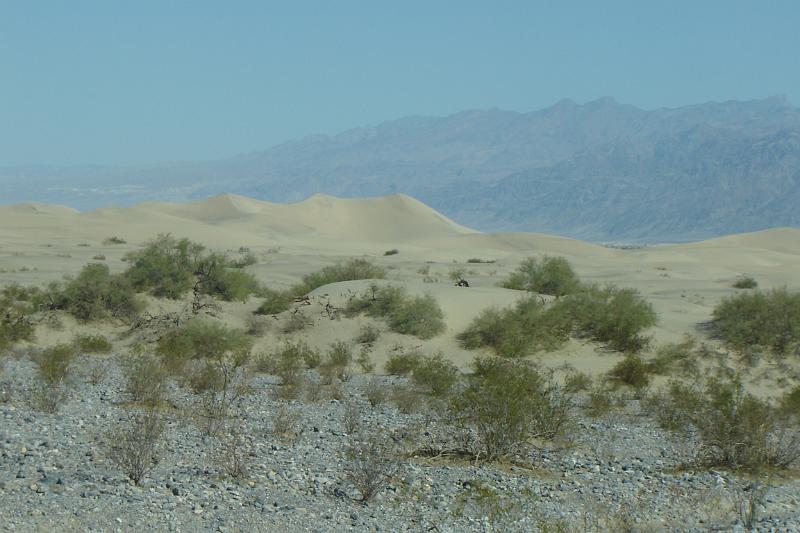 DSC02514.JPG